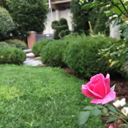 Oda ve Kahvaltı Del Grappa