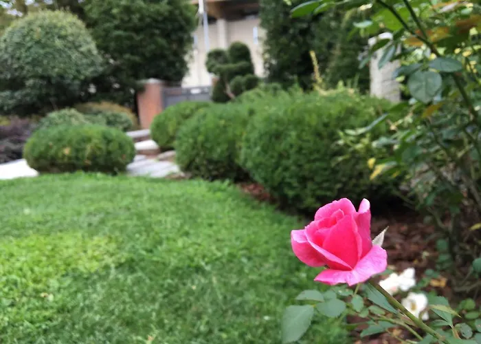 Bed and breakfast Del Grappa