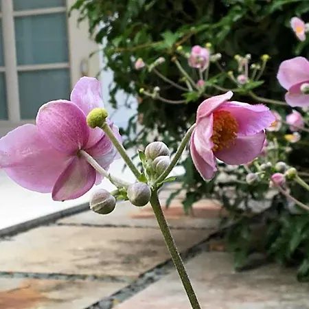 Bed & Breakfast Del Grappa